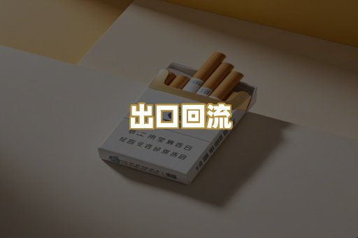 出口回流